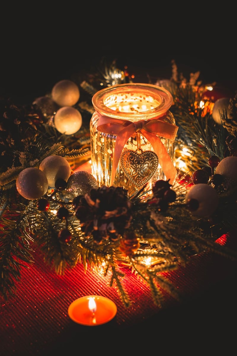 Fairy Lights in Garden